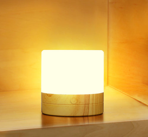 Multicolor Mood Light Wireless Rechargeable Outdoor LED Camping