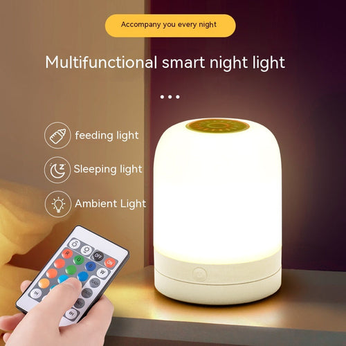 Multicolor Mood Light Wireless Rechargeable Outdoor LED Camping