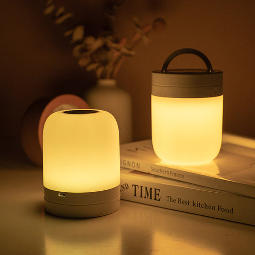 Multicolor Mood Light Wireless Rechargeable Outdoor LED Camping