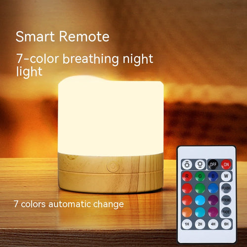 Multicolor Mood Light Wireless Rechargeable Outdoor LED Camping