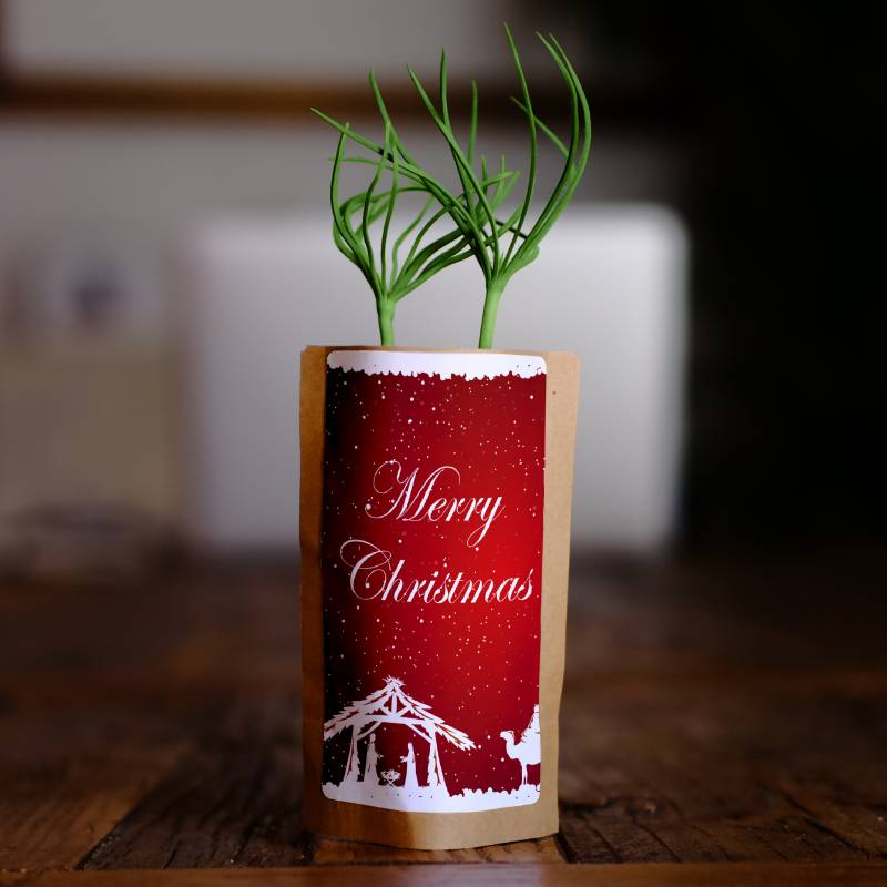 ELITE CASA red-christmas-tree-gift-elite-casa.jpg